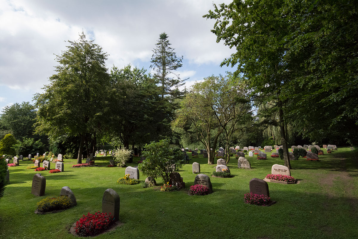 Domfriedhof