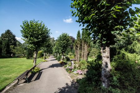 friedhof-friedrichsberg-10